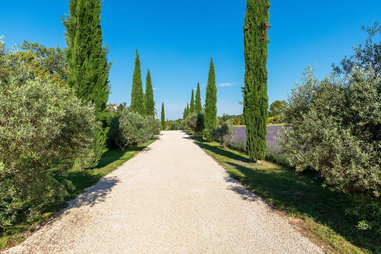 Отель La Bastide De Damien, 5 Clefs Demeure D'Exception Et Table Remarquable Dans Le Guide Teritoria, Jacuzzi Privatif, Cuisine Etoilee Dominique Frerard Экс-ан-Прованс Экстерьер фото