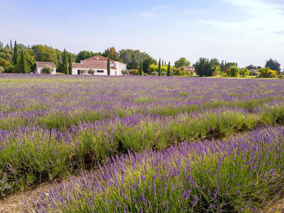 Отель La Bastide De Damien, 5 Clefs Demeure D'Exception Et Table Remarquable Dans Le Guide Teritoria, Jacuzzi Privatif, Cuisine Etoilee Dominique Frerard Экс-ан-Прованс Экстерьер фото
