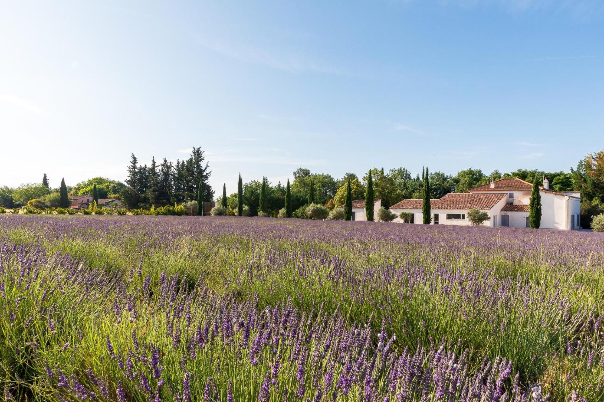 Отель La Bastide De Damien, 5 Clefs Demeure D'Exception Et Table Remarquable Dans Le Guide Teritoria, Jacuzzi Privatif, Cuisine Etoilee Dominique Frerard Экс-ан-Прованс Экстерьер фото
