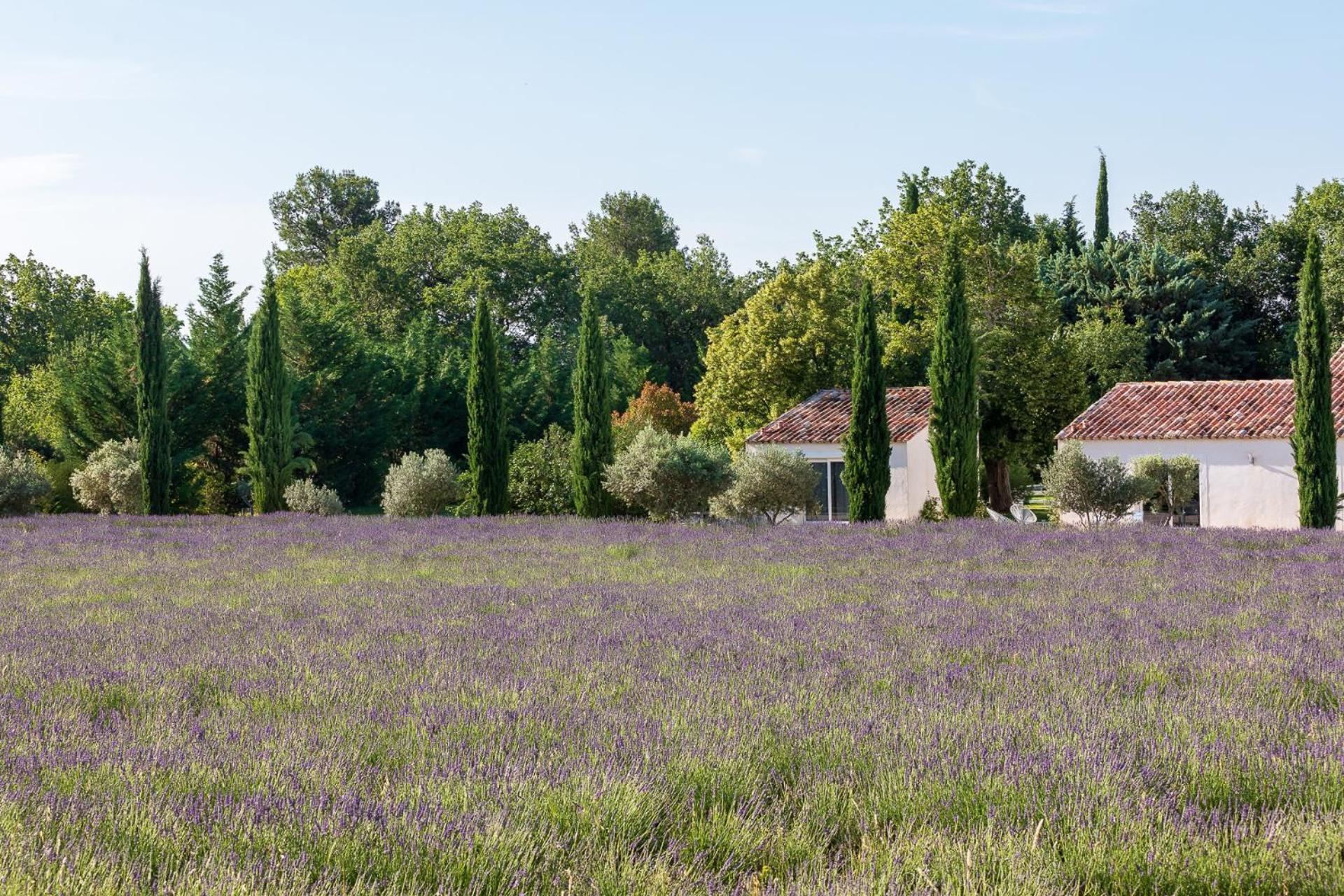 Отель La Bastide De Damien, 5 Clefs Demeure D'Exception Et Table Remarquable Dans Le Guide Teritoria, Jacuzzi Privatif, Cuisine Etoilee Dominique Frerard Экс-ан-Прованс Экстерьер фото