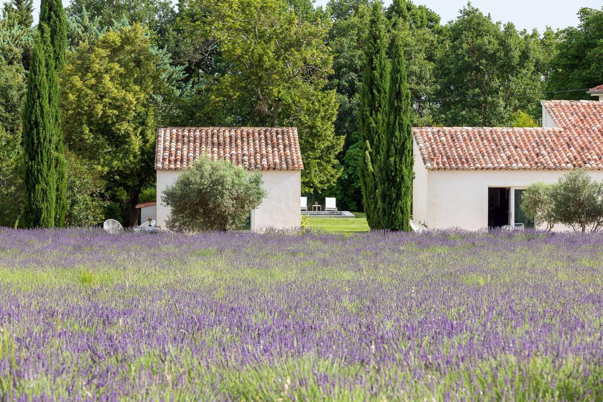 Отель La Bastide De Damien, 5 Clefs Demeure D'Exception Et Table Remarquable Dans Le Guide Teritoria, Jacuzzi Privatif, Cuisine Etoilee Dominique Frerard Экс-ан-Прованс Экстерьер фото