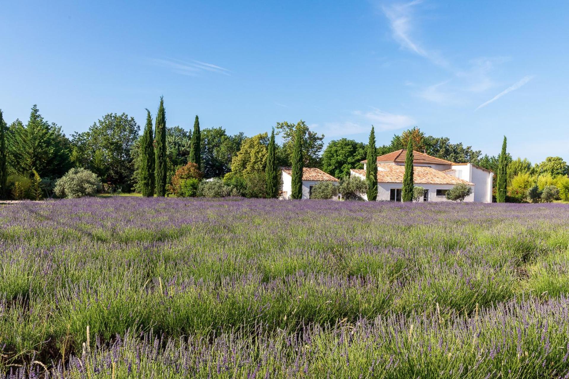 Отель La Bastide De Damien, 5 Clefs Demeure D'Exception Et Table Remarquable Dans Le Guide Teritoria, Jacuzzi Privatif, Cuisine Etoilee Dominique Frerard Экс-ан-Прованс Экстерьер фото