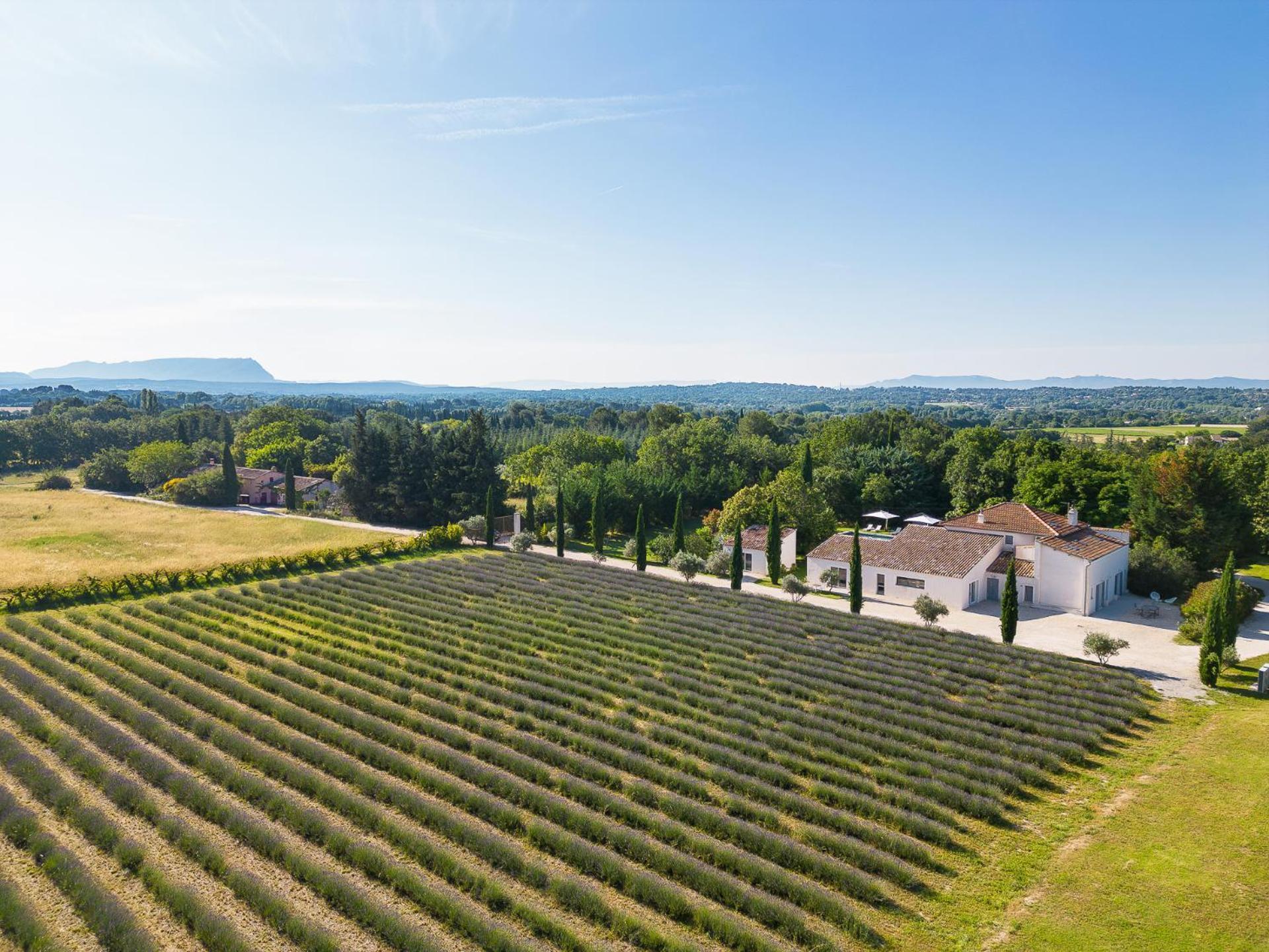 Отель La Bastide De Damien, 5 Clefs Demeure D'Exception Et Table Remarquable Dans Le Guide Teritoria, Jacuzzi Privatif, Cuisine Etoilee Dominique Frerard Экс-ан-Прованс Экстерьер фото