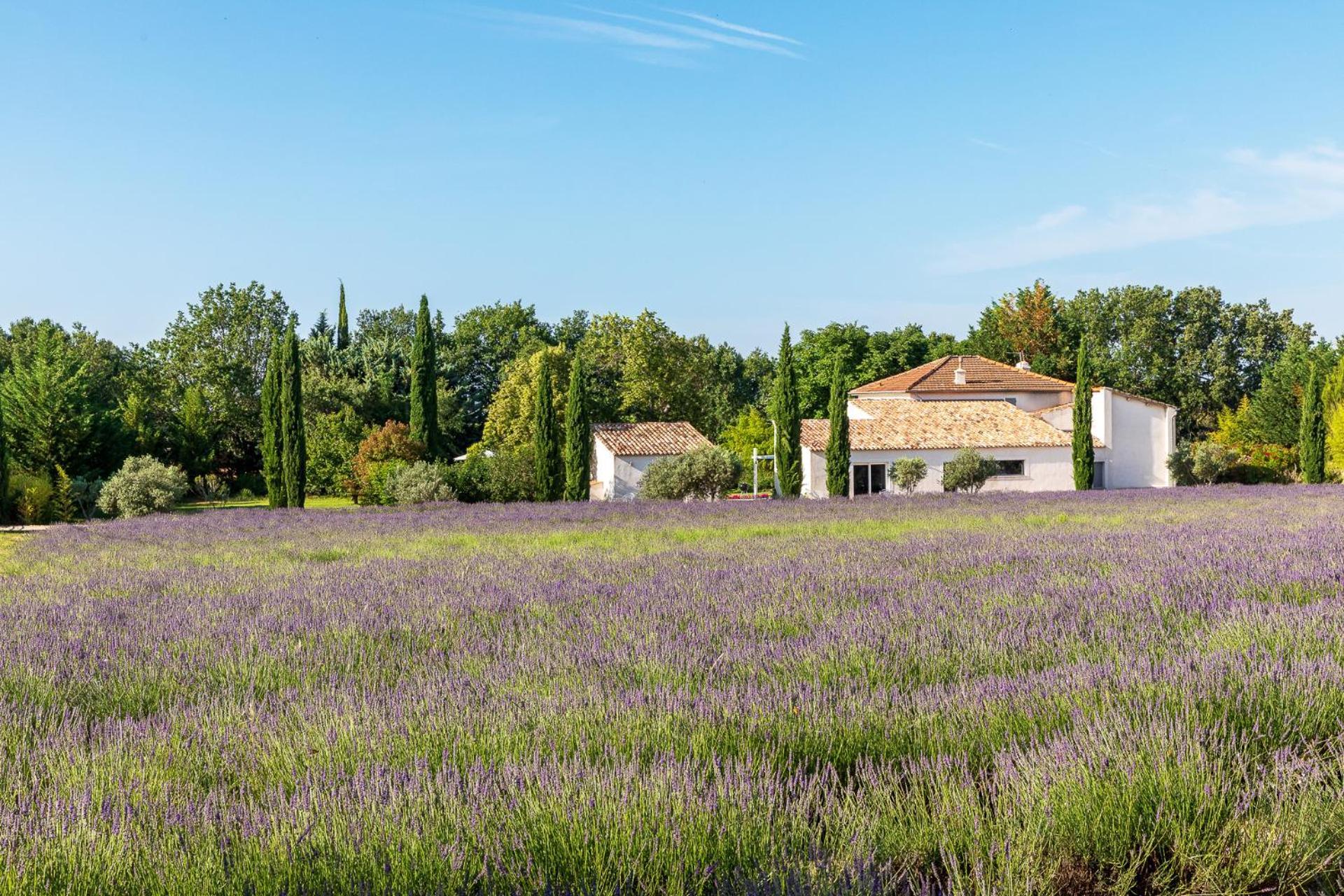 Отель La Bastide De Damien, 5 Clefs Demeure D'Exception Et Table Remarquable Dans Le Guide Teritoria, Jacuzzi Privatif, Cuisine Etoilee Dominique Frerard Экс-ан-Прованс Экстерьер фото