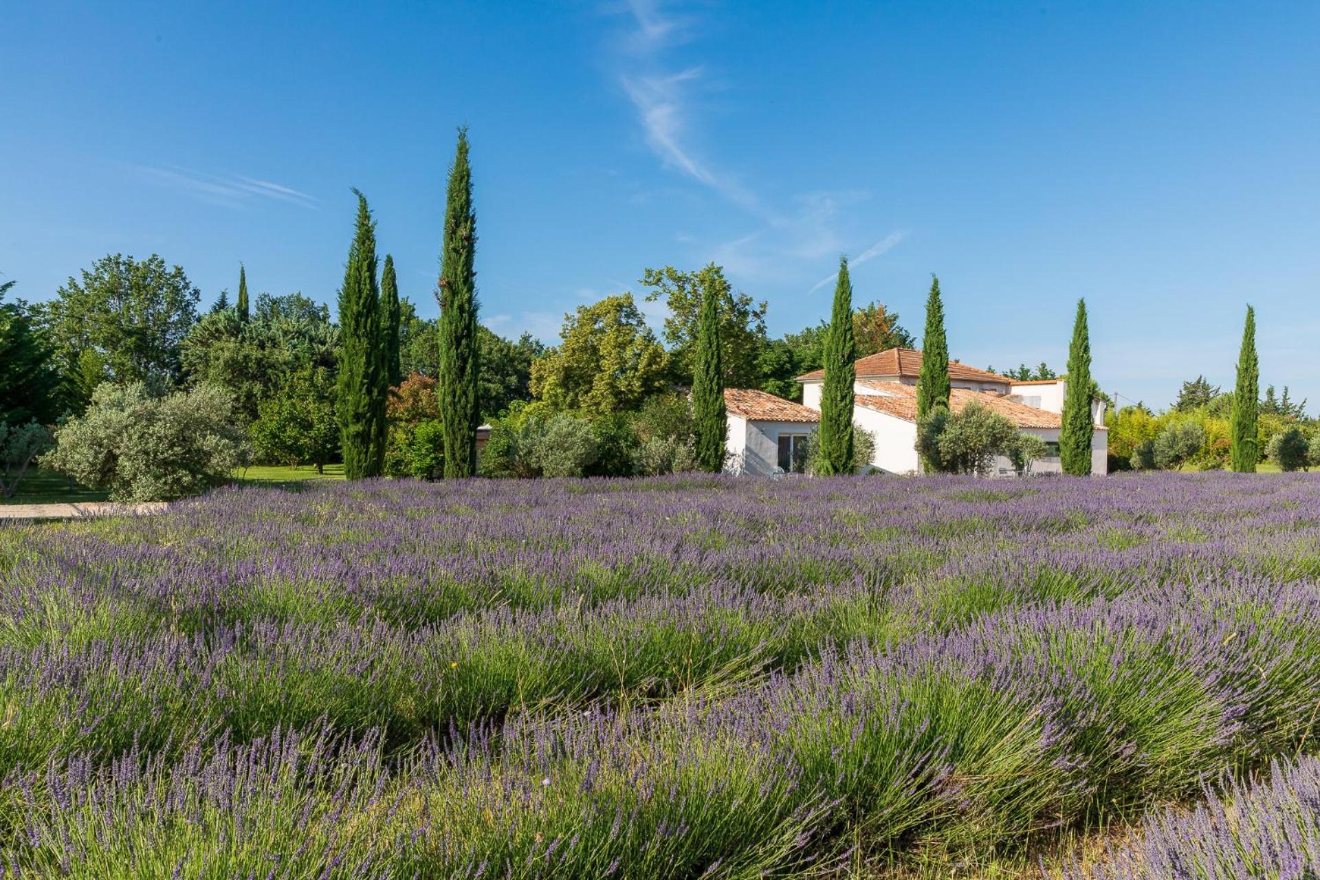Отель La Bastide De Damien, 5 Clefs Demeure D'Exception Et Table Remarquable Dans Le Guide Teritoria, Jacuzzi Privatif, Cuisine Etoilee Dominique Frerard Экс-ан-Прованс Экстерьер фото