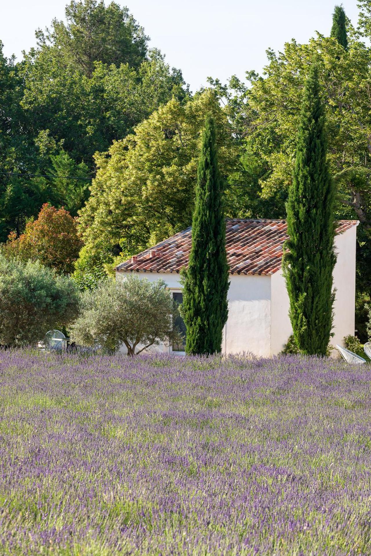 Отель La Bastide De Damien, 5 Clefs Demeure D'Exception Et Table Remarquable Dans Le Guide Teritoria, Jacuzzi Privatif, Cuisine Etoilee Dominique Frerard Экс-ан-Прованс Экстерьер фото