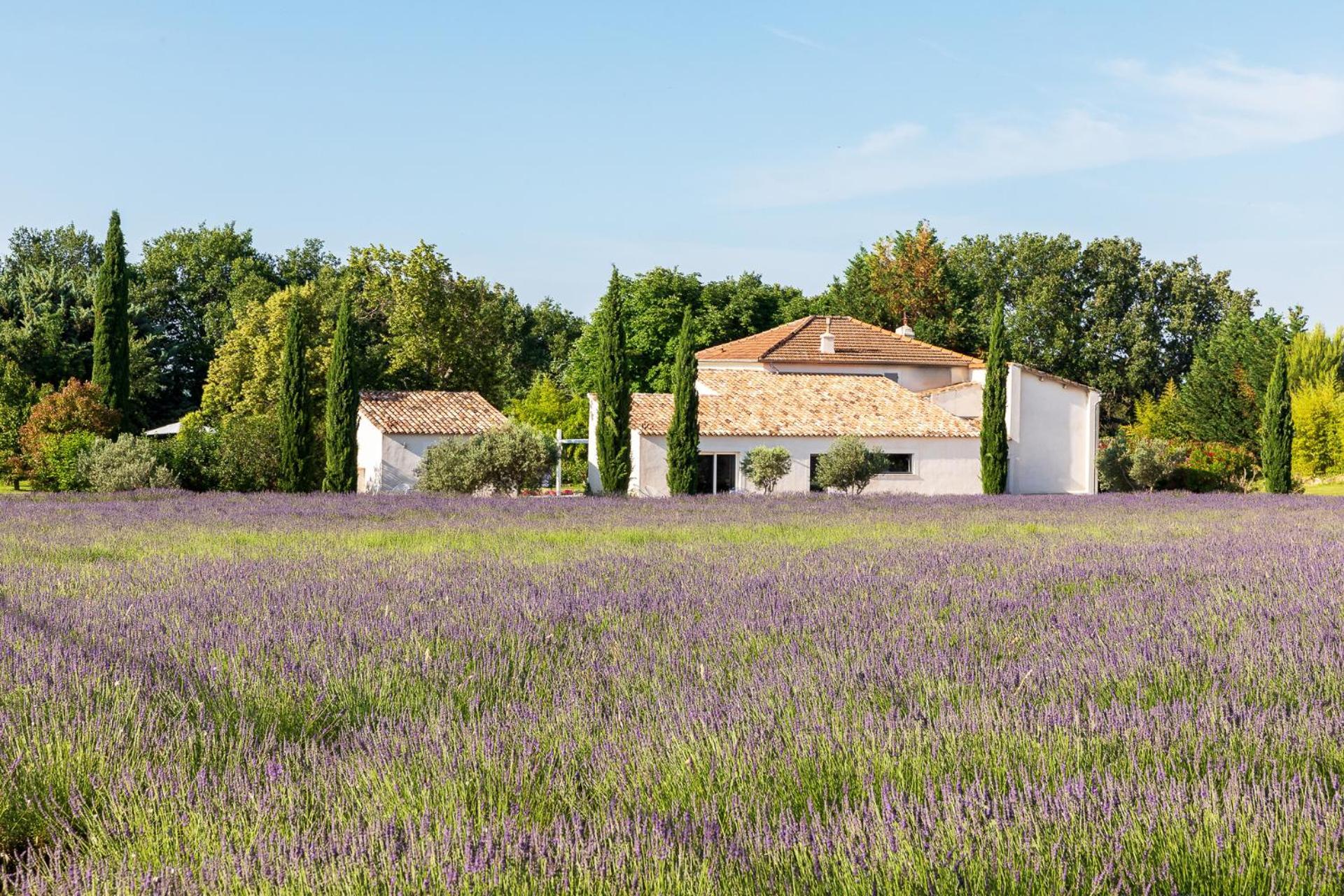 Отель La Bastide De Damien, 5 Clefs Demeure D'Exception Et Table Remarquable Dans Le Guide Teritoria, Jacuzzi Privatif, Cuisine Etoilee Dominique Frerard Экс-ан-Прованс Экстерьер фото