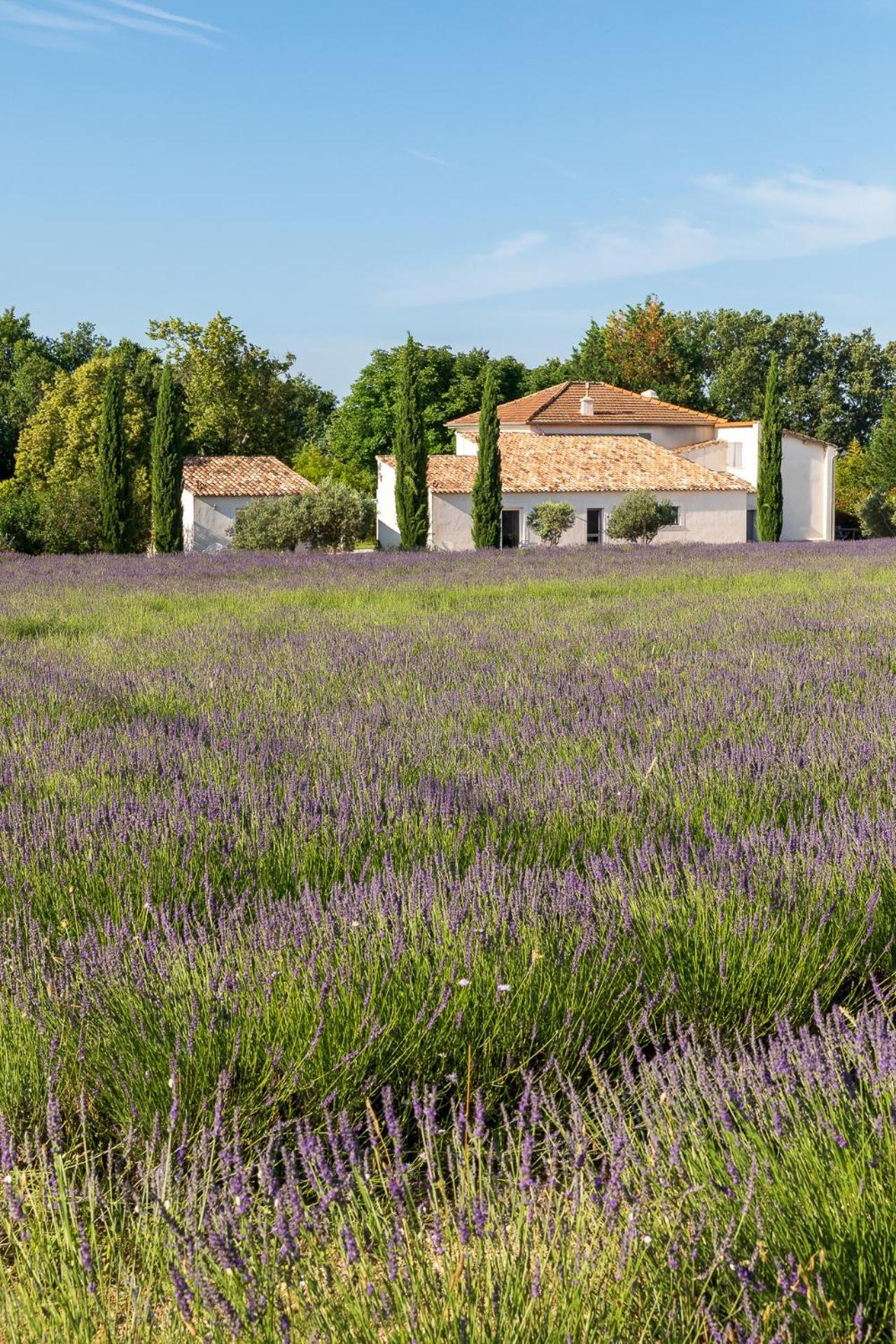 Отель La Bastide De Damien, 5 Clefs Demeure D'Exception Et Table Remarquable Dans Le Guide Teritoria, Jacuzzi Privatif, Cuisine Etoilee Dominique Frerard Экс-ан-Прованс Экстерьер фото